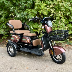 Scooter Plus1 M20-1000W 20Ah Lead-acid Brown