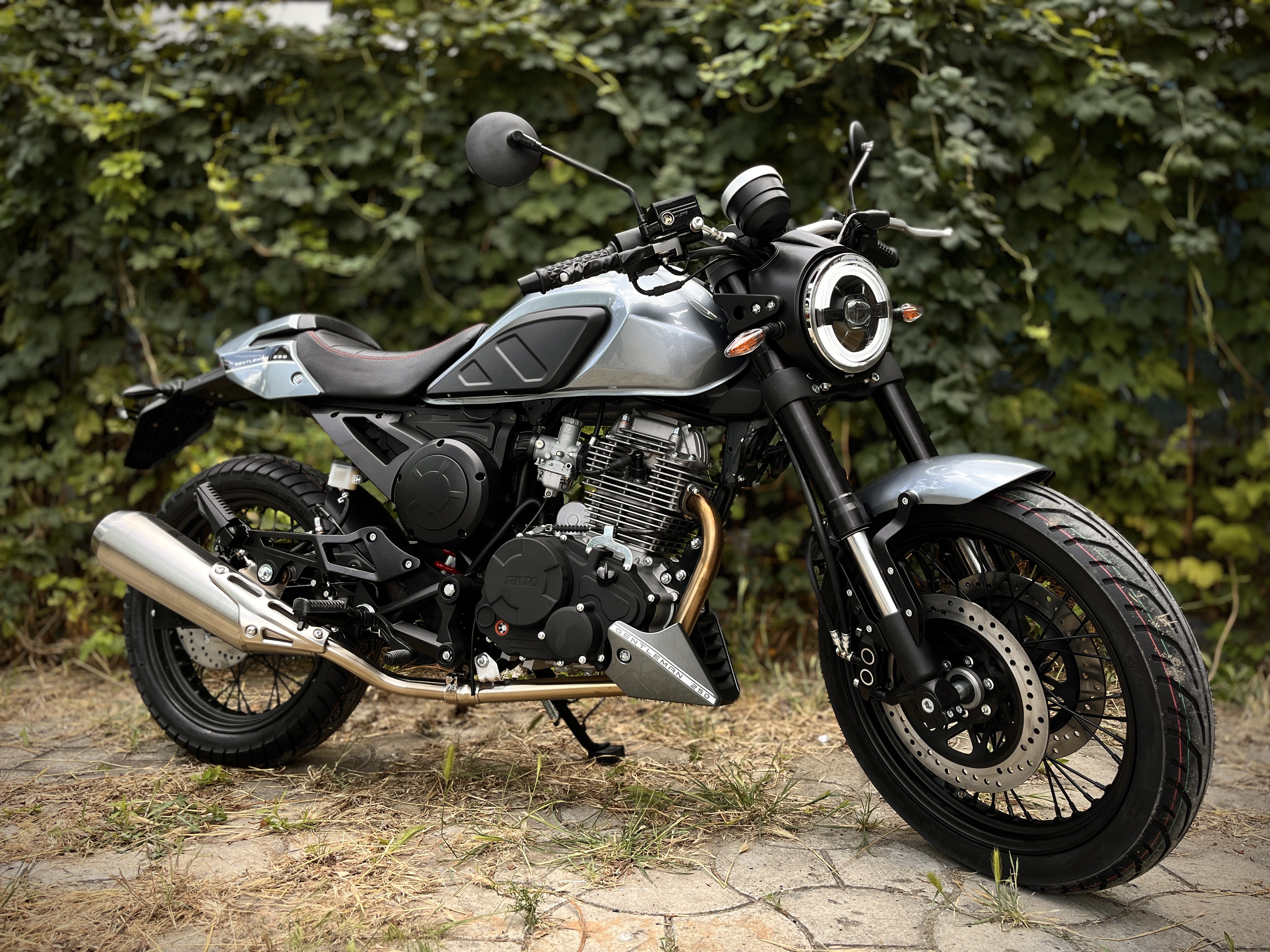 Rato Gentleman 250cc