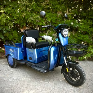 Scooter PLUS1 X6 Blue